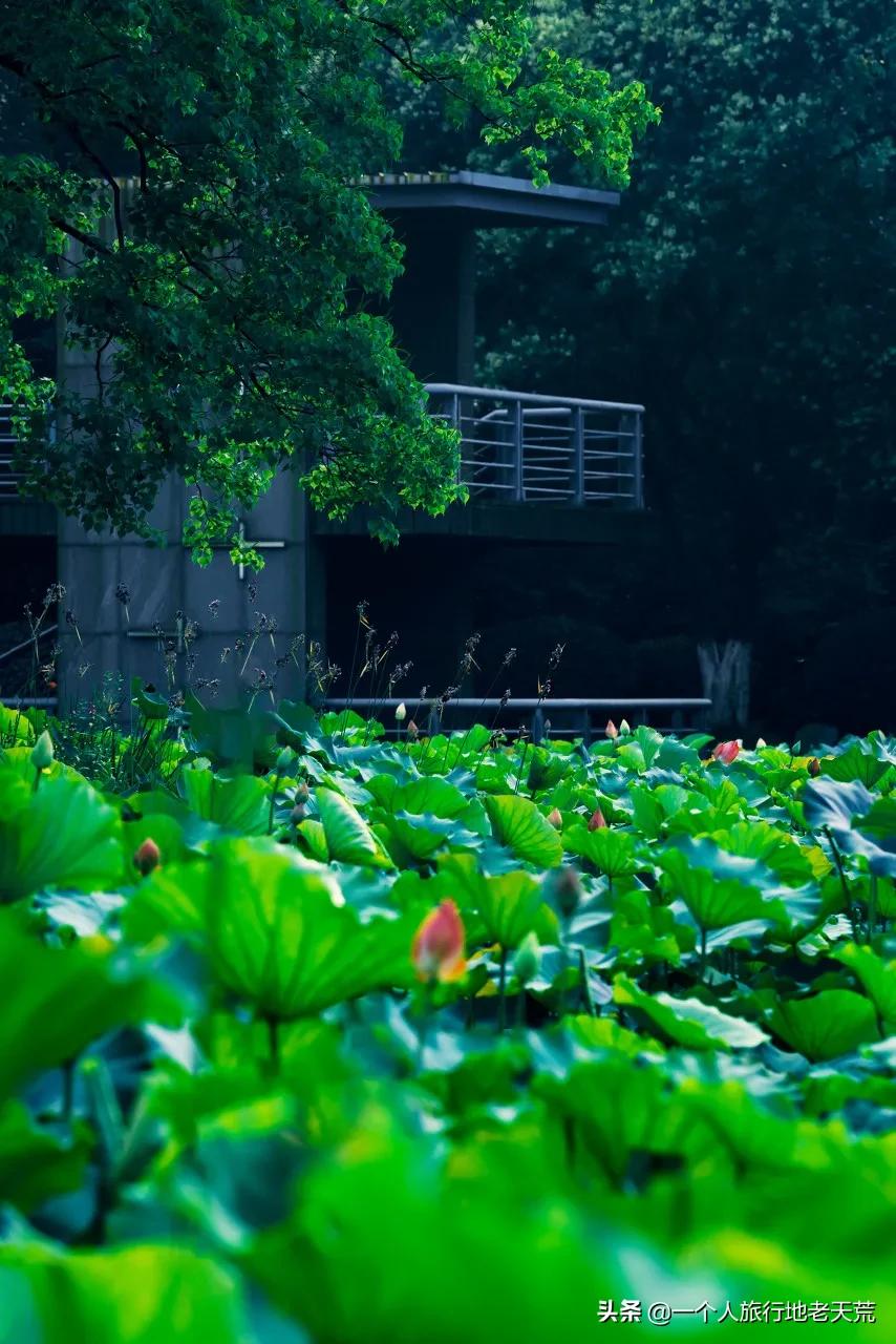 江苏这个“快乐”的城市,颜值不输苏杭,连苏东坡都在这养老