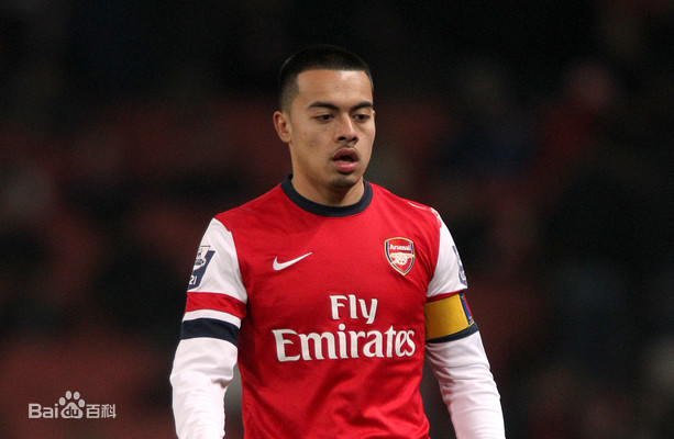 入籍第一悍将，郑智未来接班人。