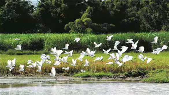 云南瑞丽腾冲离缅甸有多远,瑞丽与腾冲地理位置