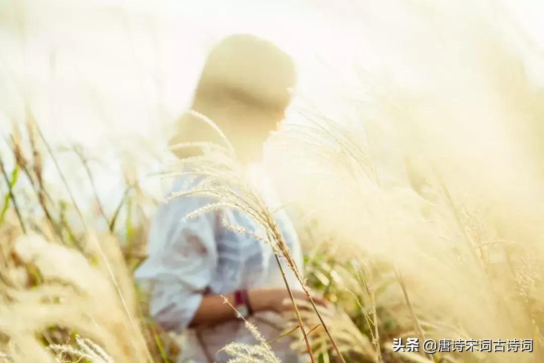 写给时光的诗100首,写给时光的诗40首