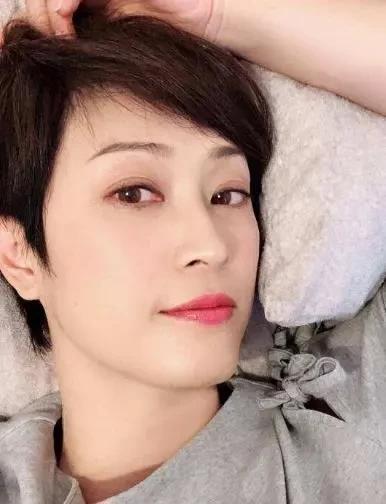 洪欣陈法蓉最近消息,洪欣陈法蓉合体综艺