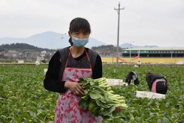 冬夜漫长而艰辛,冬夜漫长而寒冷