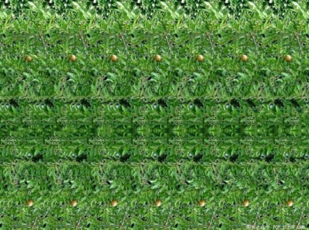 有意思3d立体图片,有趣好看的三维立体图片