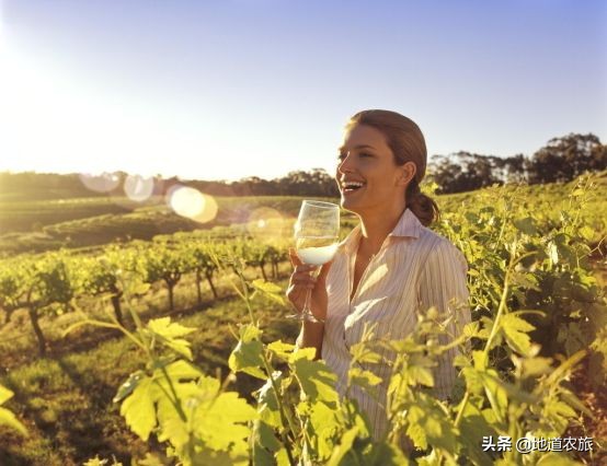 来看澳大利亚“猎人谷”田园综合体，如何“猎人”？