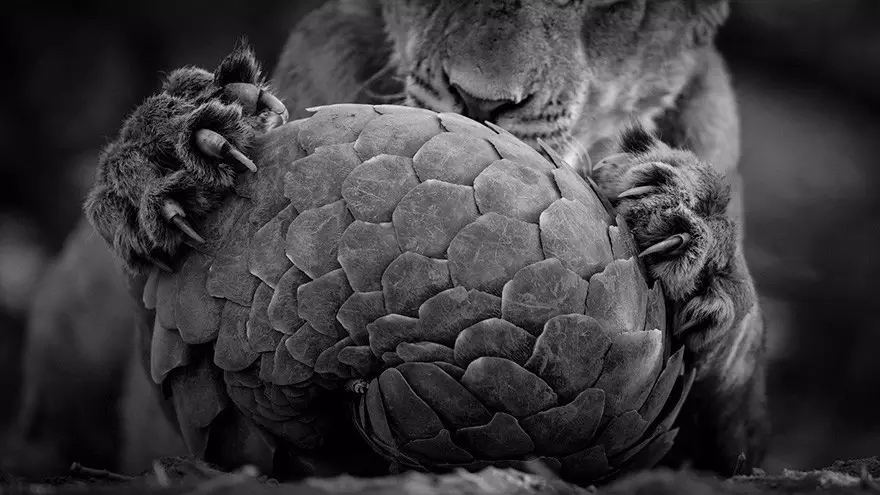 桂枝茯苓丸竟然有这样的“副作用”，对皮肤太好！