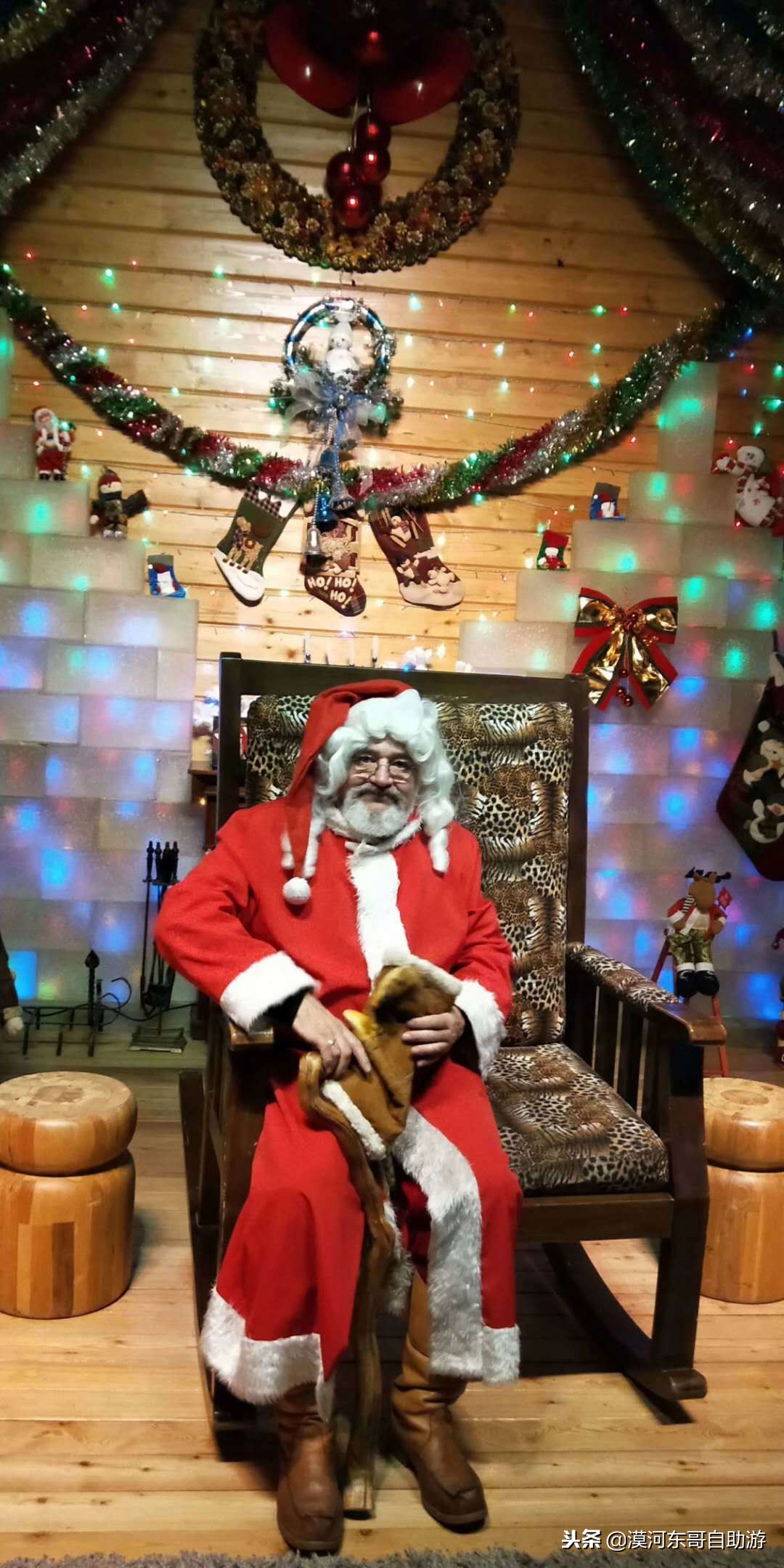 漠河极寒之旅,漠河遇到熊