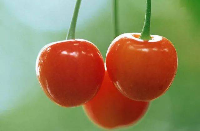 戳天灵,戳天花板楼上声音大吗