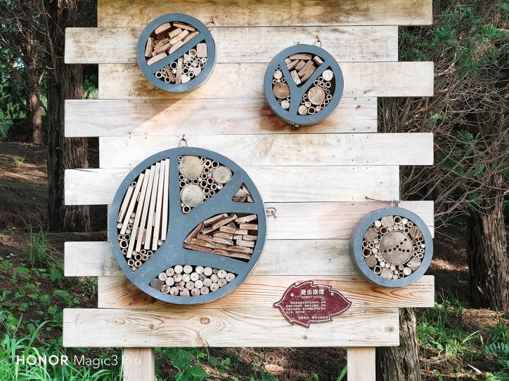 荣耀magic3pro王者荣耀画质,荣耀magic3pro用户真实评测