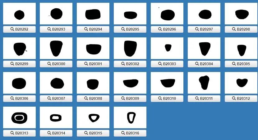 汉字起源讲解一年级,汉字起源与原理书籍