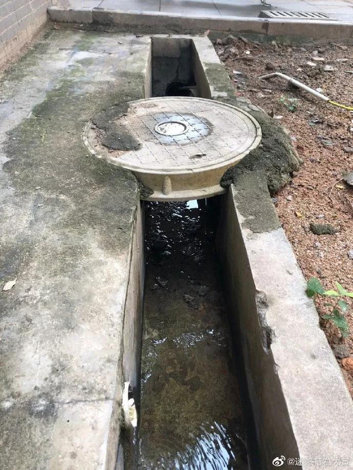 别憋着，容易憋出内伤，该笑就笑，我太难了，酸柠檬现场