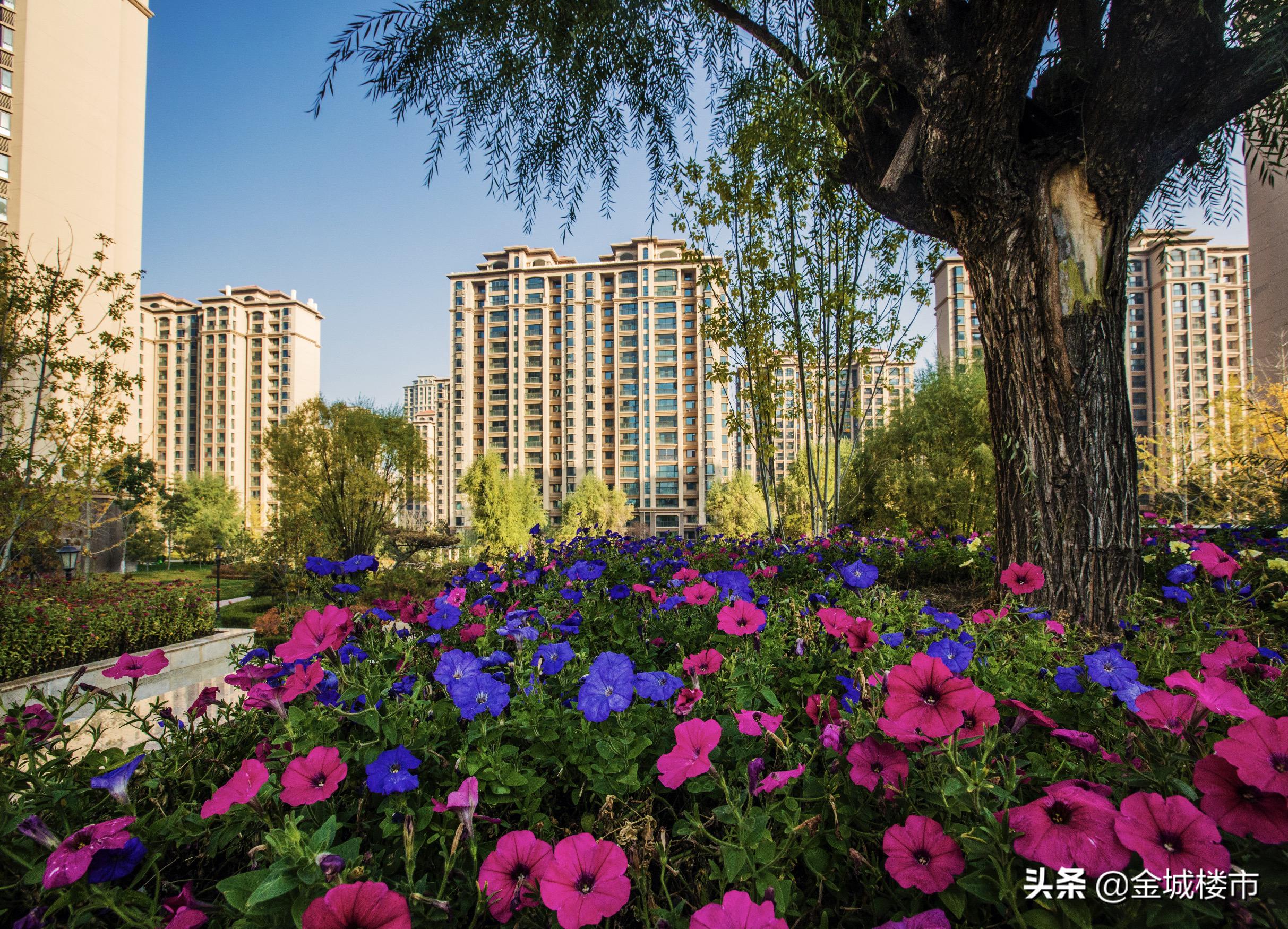 金城悦府一期,大宴金城悦府发布会