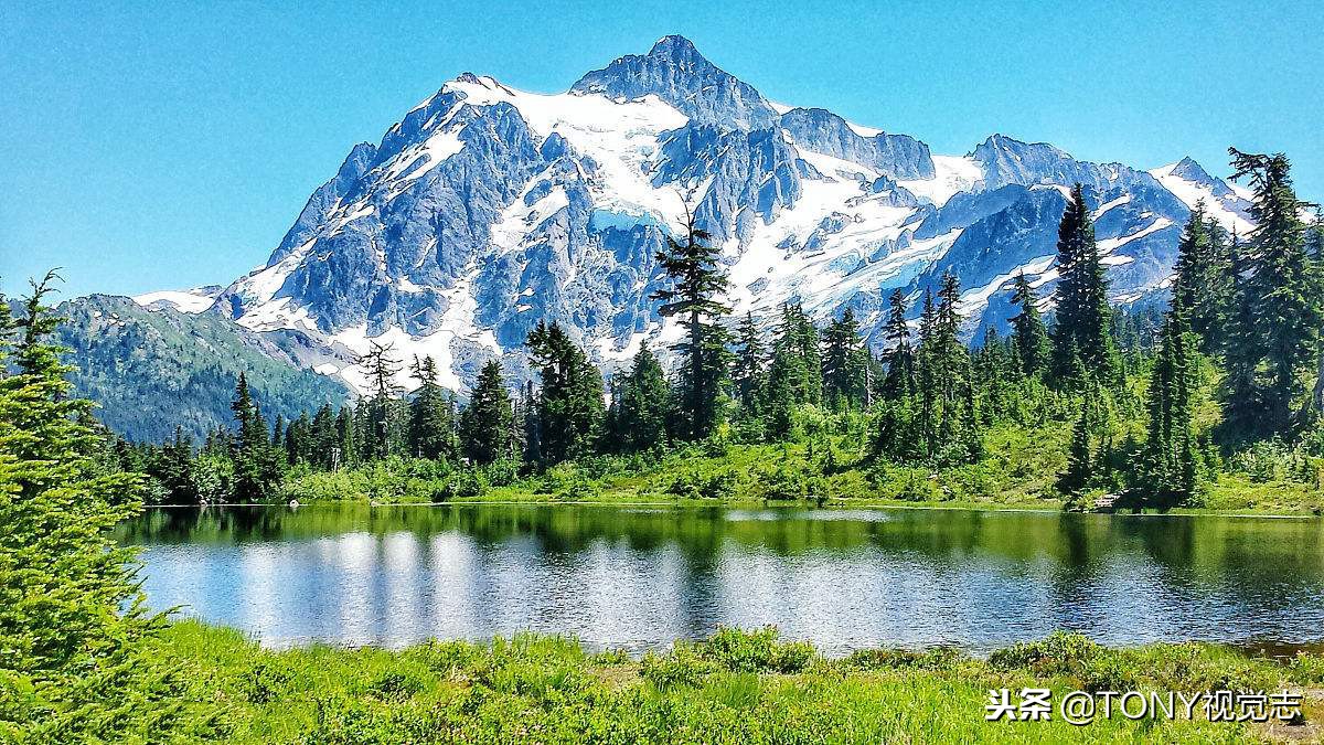 尼康佳能新手相机推荐,佳能和尼康入门级单反推荐