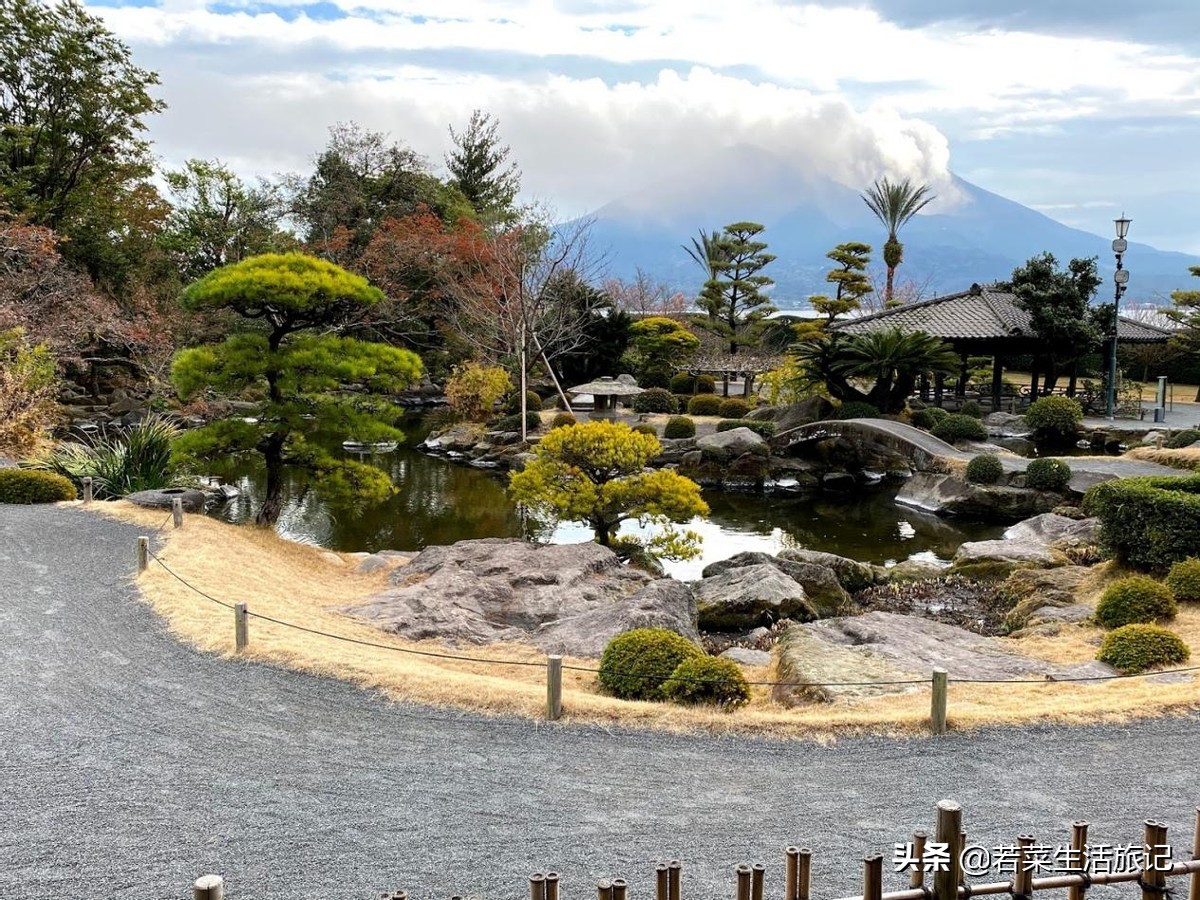九州岛樱花,九州樱花之旅