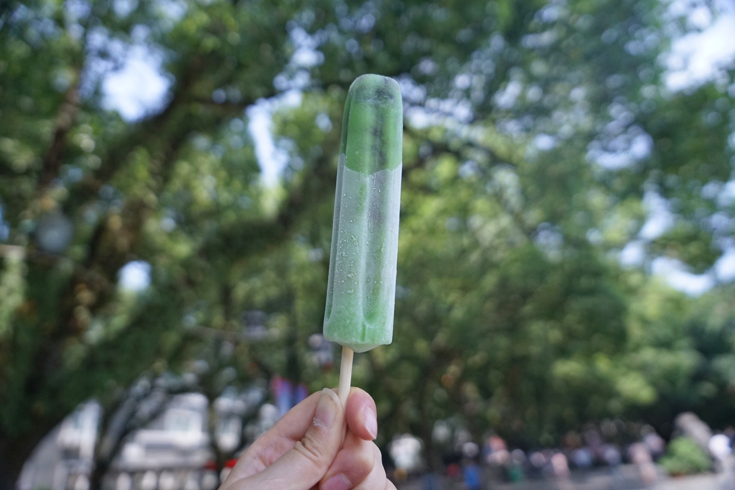 桂林山水六日游198元,桂林28元阳朔三日游