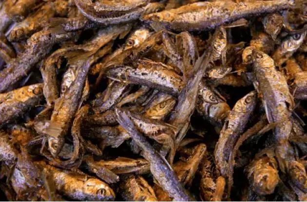 苏州美食攻略必吃榜第一名,带你吃遍苏州美食篇二