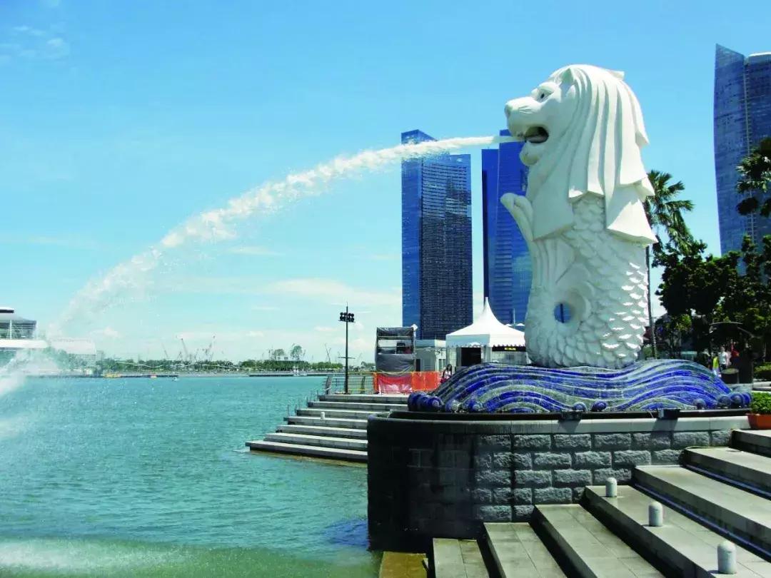 狮子山下,狮子迁徙几千公里