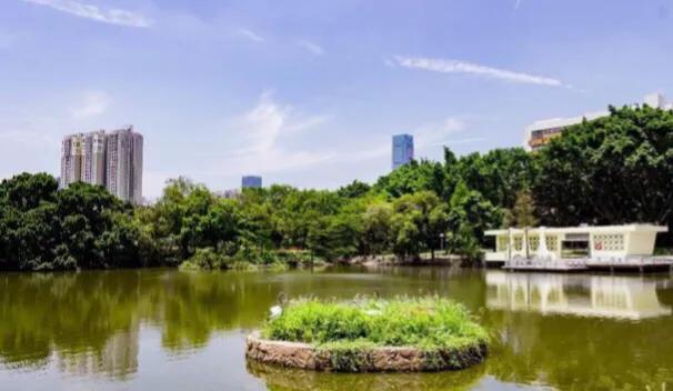深圳花海公园推荐景点有哪些,深圳花海公园地址在哪里