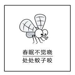 艾滋病是否通过蚊子传染,蚊子拍出血会传染艾滋病吗