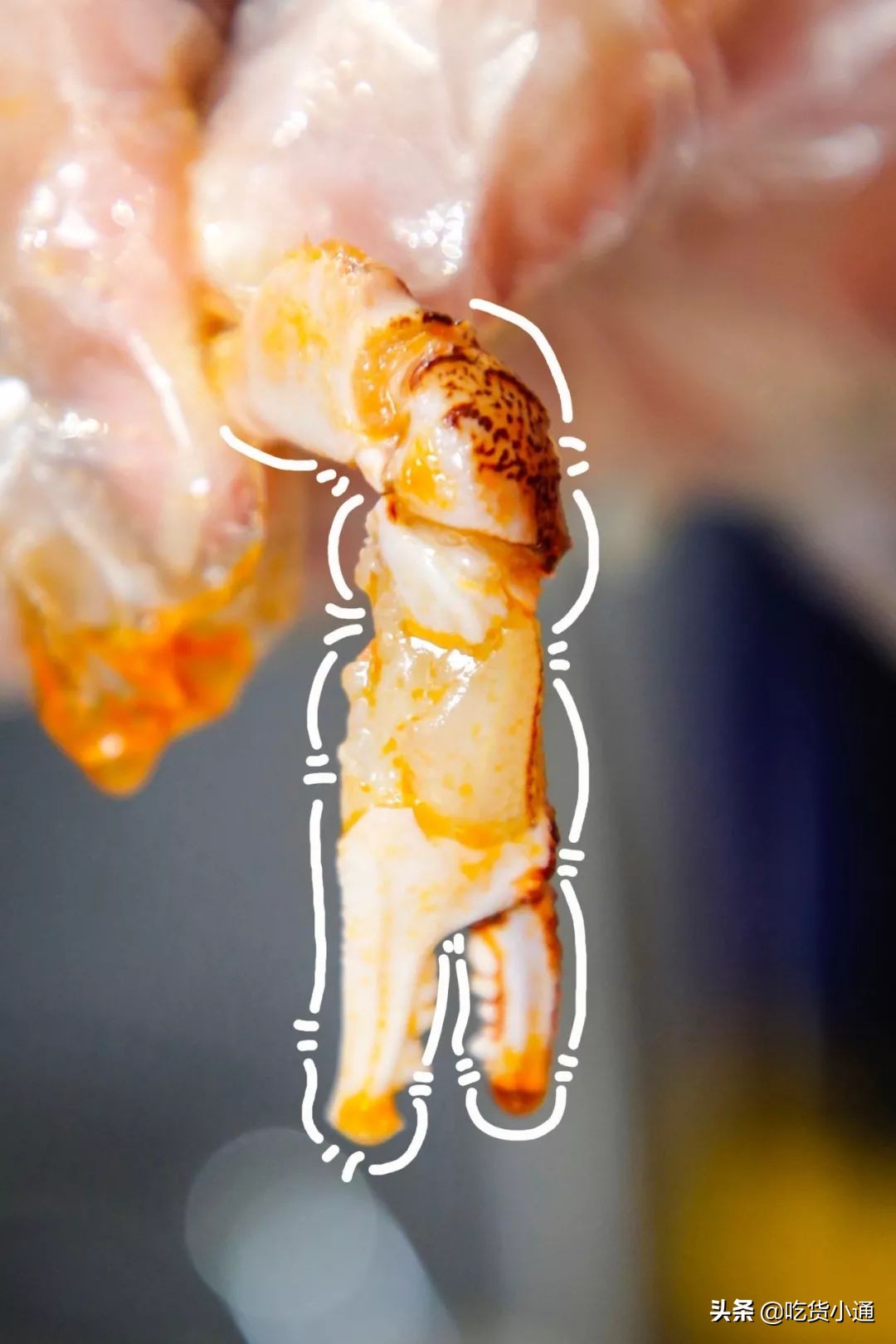 又一新晋网红，月销5000+份，宁波也有了