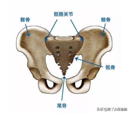 躺下腰痛时骶髂关节痛怎么处理,腰痛屁股痛脚痛是不是肾虚引起的