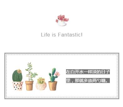 左旋肉碱减肥营养品,保健食品左旋肉碱