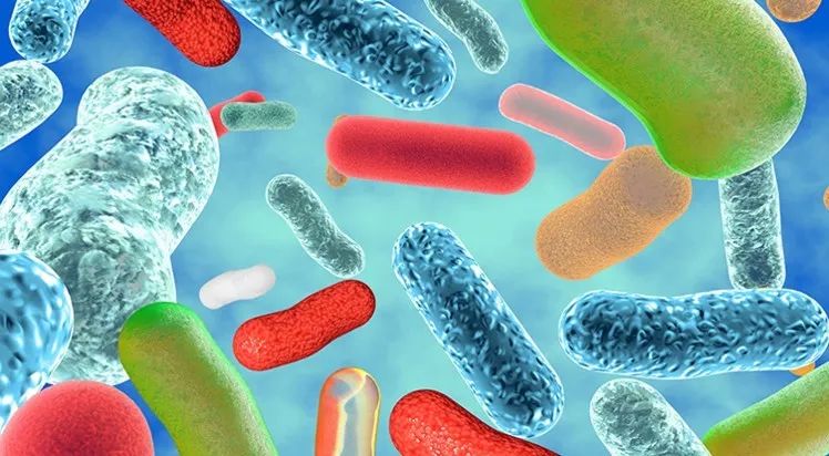 益生菌如何服用,研究益生菌的有什么工作