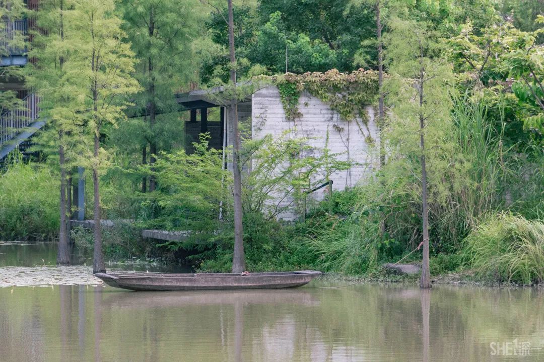 住在深圳宝安,住在宝安西乡