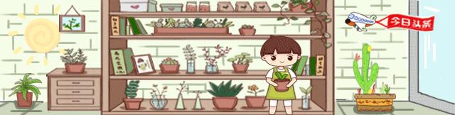 山药发出来的嫩芽能不能吃,山药长出的嫩芽能吃吗