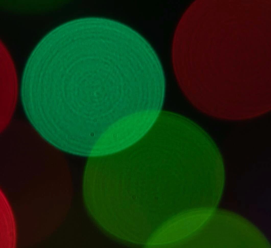 防抖大三元，佳能RF24-70/2.8LISUSM评测