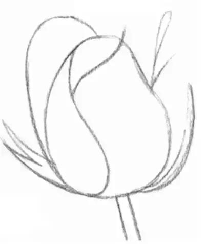 鐜懓绱犳弿鏁欑▼,绱犳弿鐜懓鐢绘硶鏁欑▼