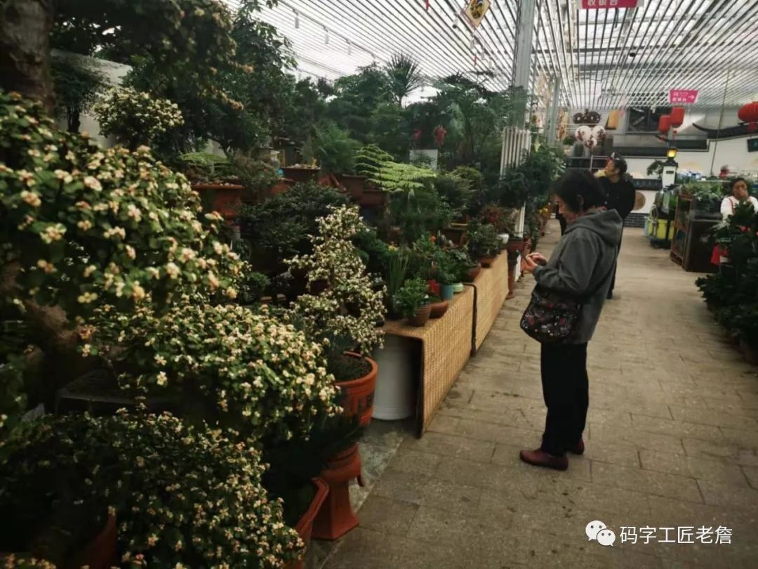 北京新发地花卉创意园,北京城南创意花卉园