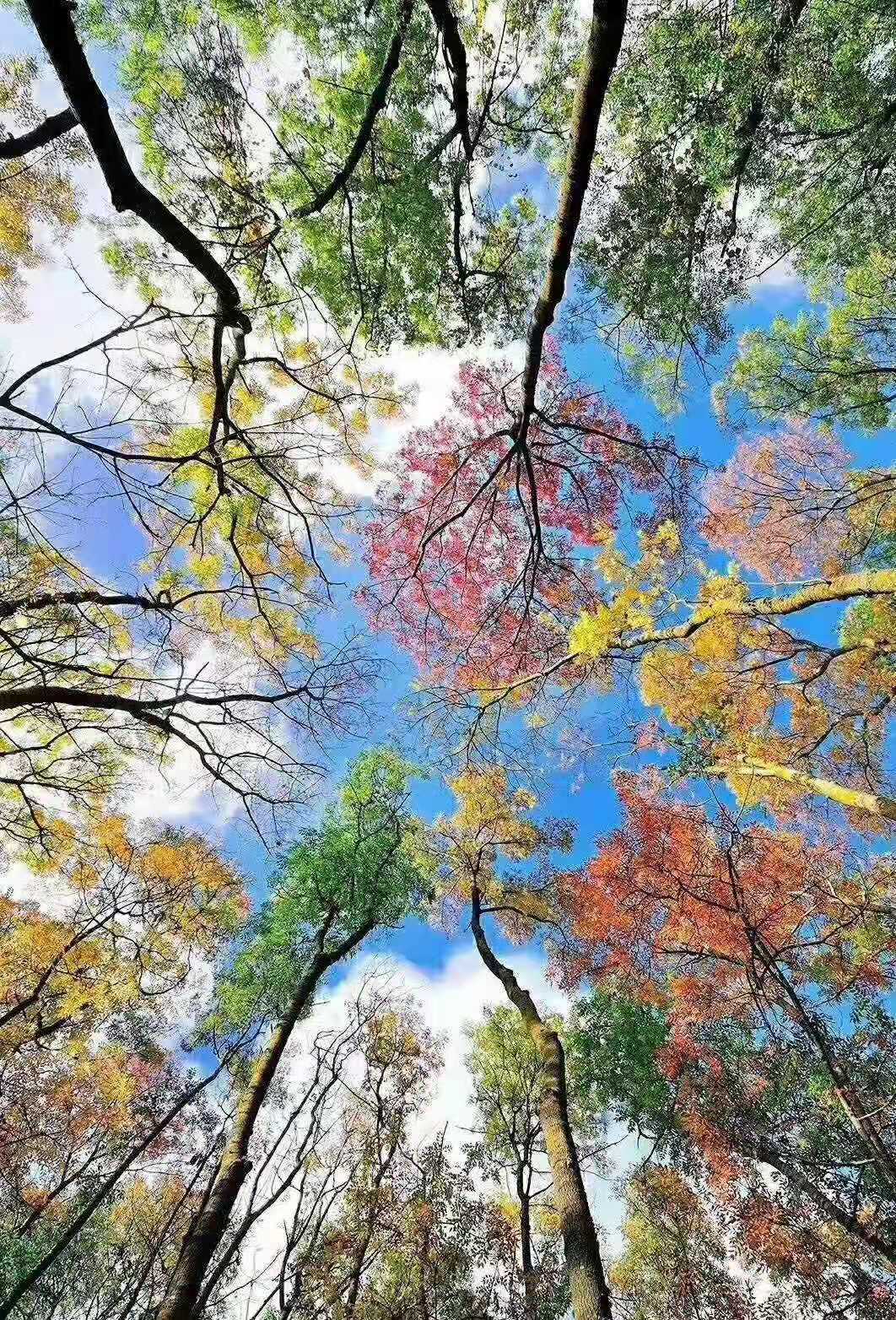 如何培养孩子发现美，感受美，创造美