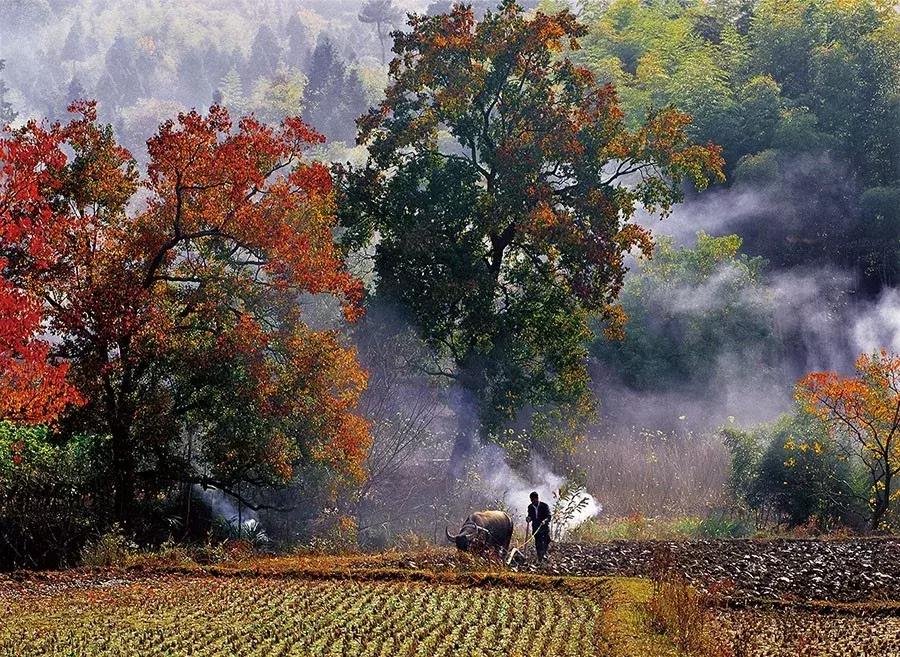 新安江山水画廊景区打卡景点,新安江山水画廊景区九砂晒秋节