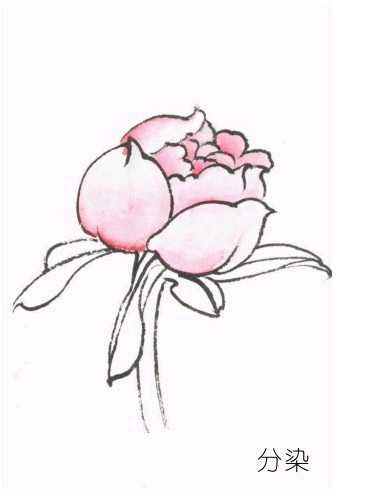 工笔画染染的正确方法,工笔画的分染步骤与技巧知识