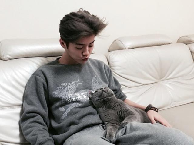 男明星为何喜欢养猫,为什么都说男生不能养猫