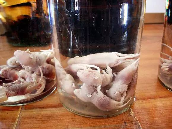 广东人一日三餐美食,广东人的日常美食生吃