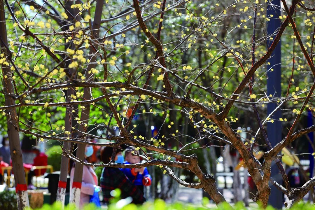 晋城司徒小镇异域风情,晋城皇城相府和司徒小镇