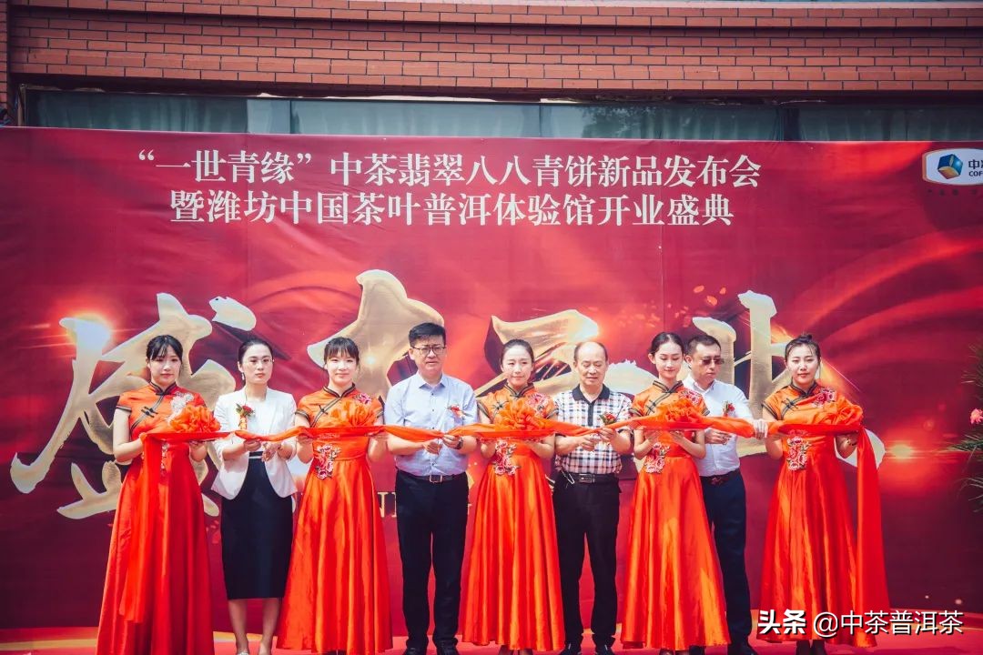 中茶翡翠白菜新品发布会,中茶八八青饼发布