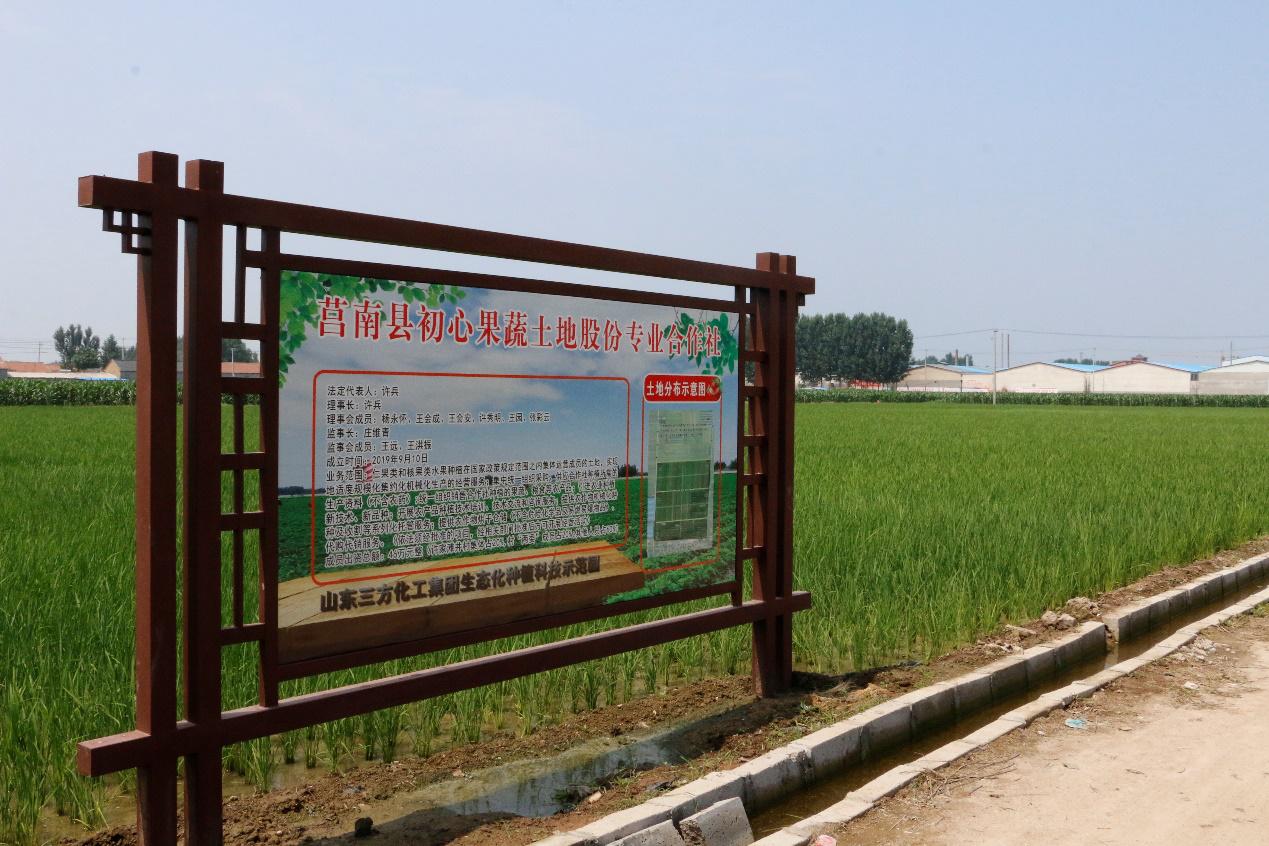 【这里是莒南｜我的小康村】系列之七大店镇许家滩井村：村强民富生活美齐心共创新农村