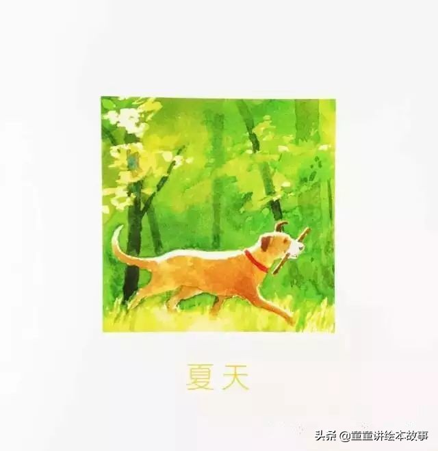 绘本故事有声小熊进城,绘本故事大城市里的小象