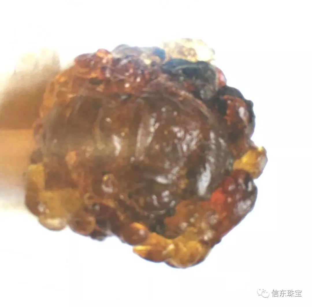 第一节是什么节,什么是琥珀呢