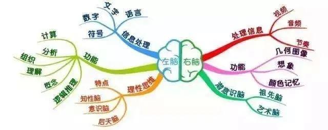 左撇子真的比一般人聪明吗,左撇子真的聪明一些吗