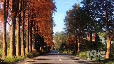 西溪湿地公园免费区域几点开门,西溪湿地免费区域攻略