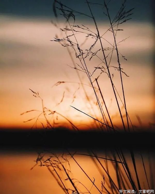 适合发朋友圈的45句人间绝句,人间绝句令人惊艳的诗句是什么
