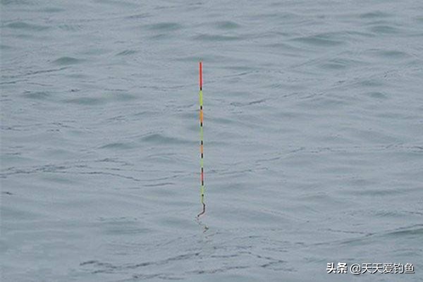 半水调漂和平水调漂是什么意思,用蚯蚓钓鱼怎么调漂调几目合适