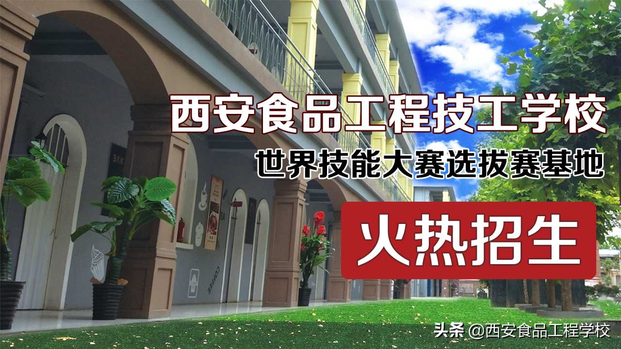 常见中筋面粉有哪些,各种筋性的面粉