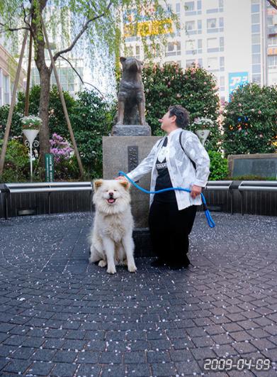 日本网红狗狗去世,日本狗死了