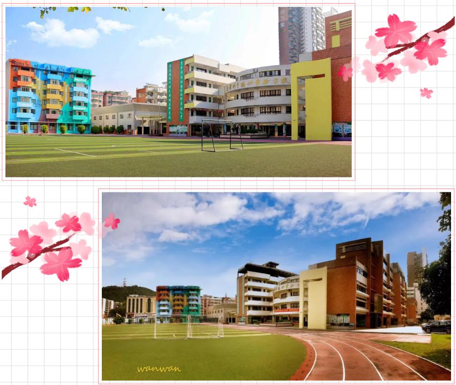 罗湖未来学校初中排名,罗湖有哪些教育集团