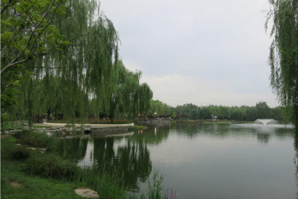 北京古塔公园历史,北京唯一湿地公园