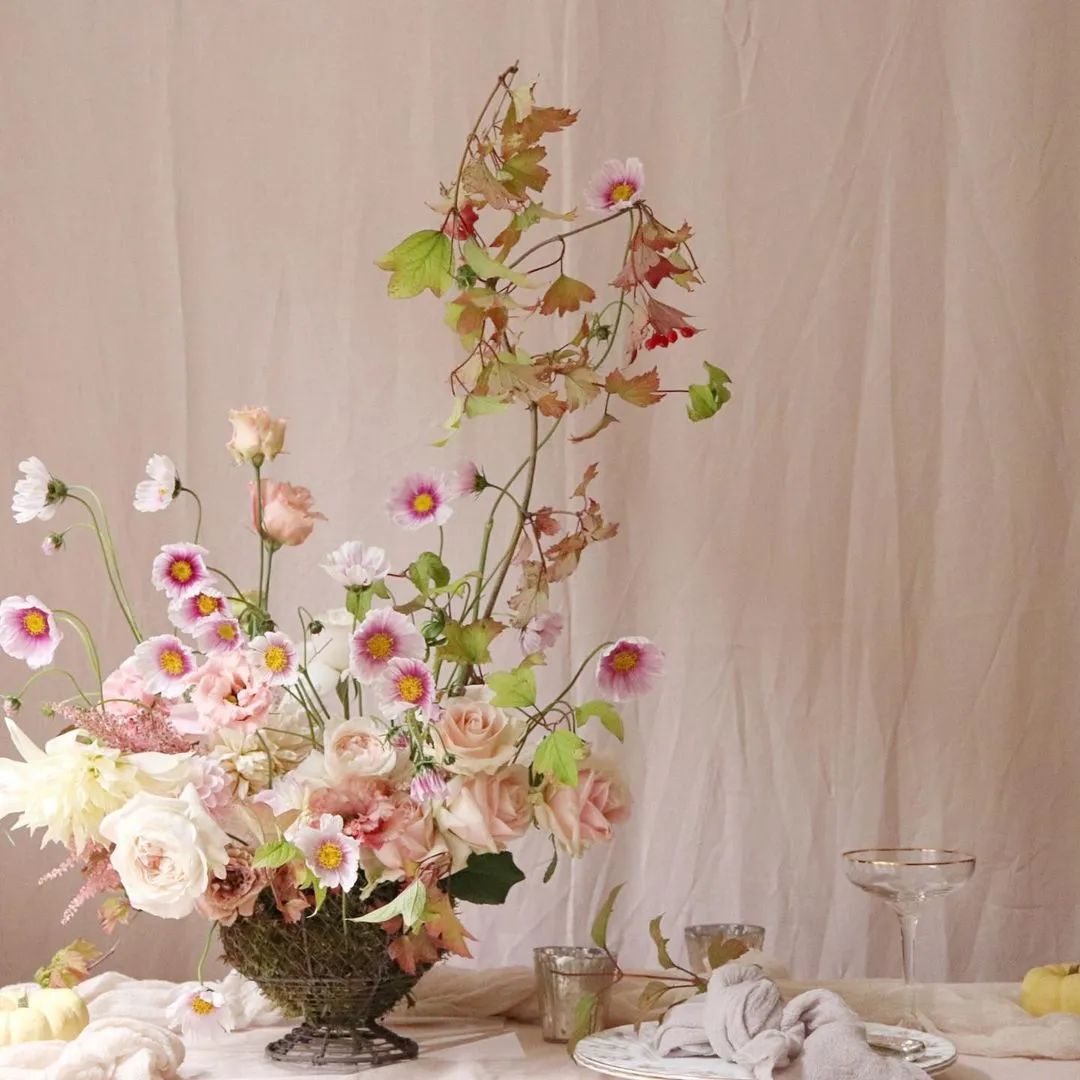 带你了解世界每一个角落,八大花艺流派